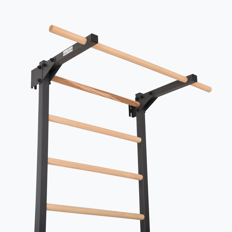 Драбинка гімнастична RINAGYM Steel Pure graphit 5