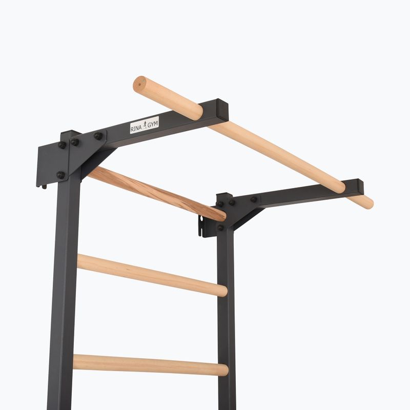 Драбинка гімнастична RINAGYM Steel Pure graphit 6