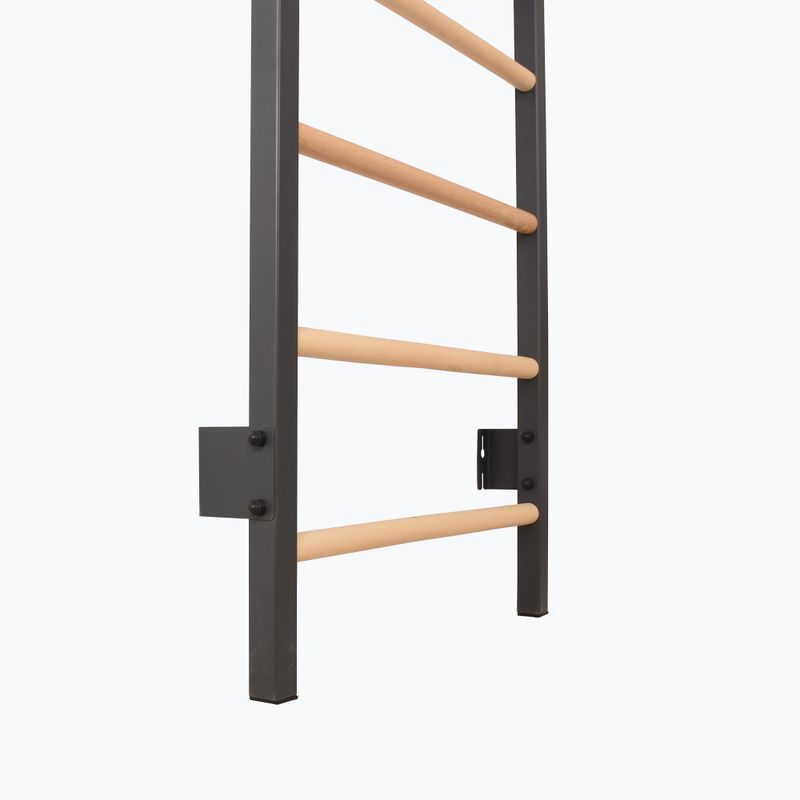Драбинка гімнастична RINAGYM Steel Pure graphit 9