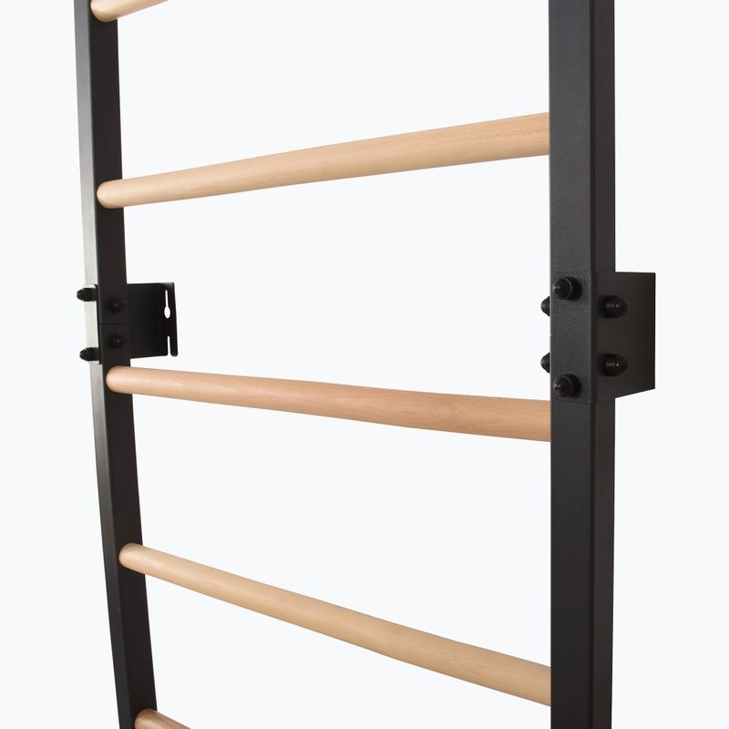 Драбинка гімнастична RINAGYM Steel Pure graphit 10
