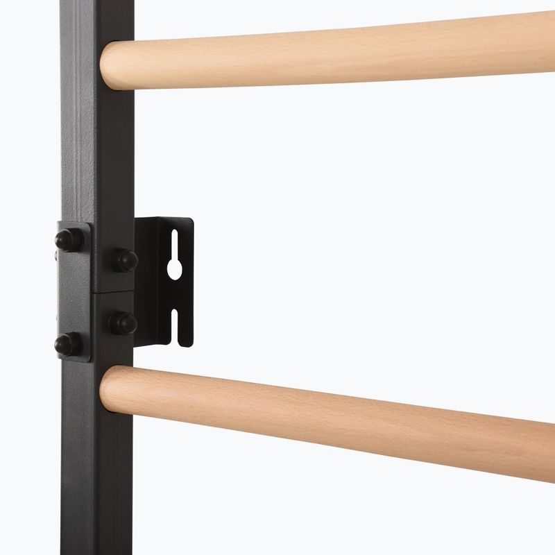 Драбинка гімнастична RINAGYM Steel Pure graphit 11