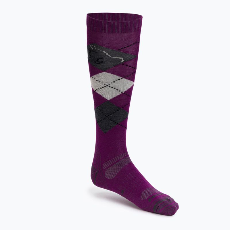 Гольфи для верхової їзди Comodo SPJW/05 violet