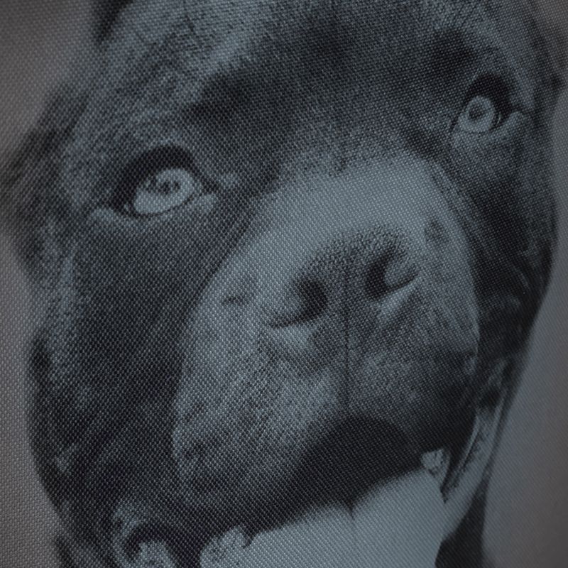 Рюкзак чоловічий Pitbull West Coast Pitbull Ir 28 l black/grey 12