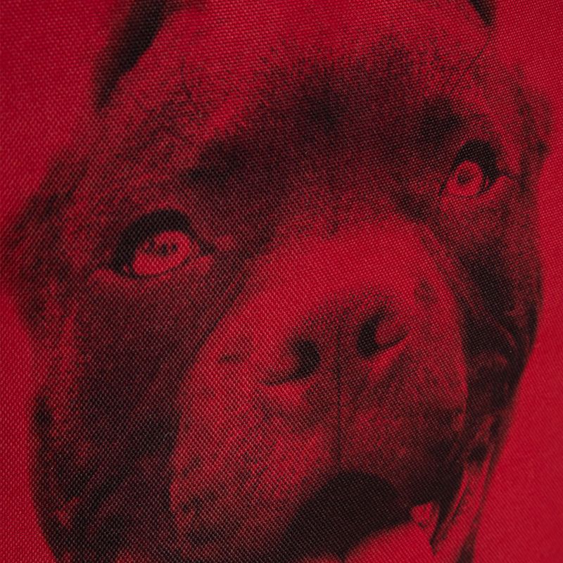 Рюкзак чоловічий Pitbull West Coast Pitbull Ir 28 l black/red 13