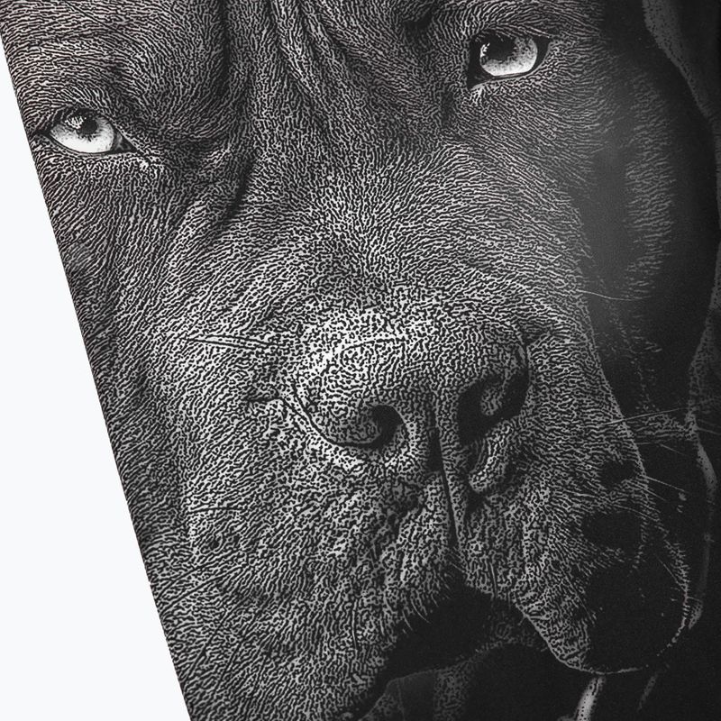 Легінси чоловічі Pitbull West Coast Born in 1989 black 3