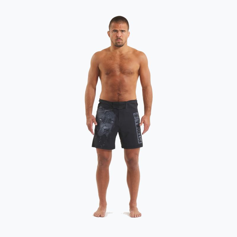 Шорти для грепплінгу чоловічі Pitbull West Coast Grappling 3 Born in 1989 black 2