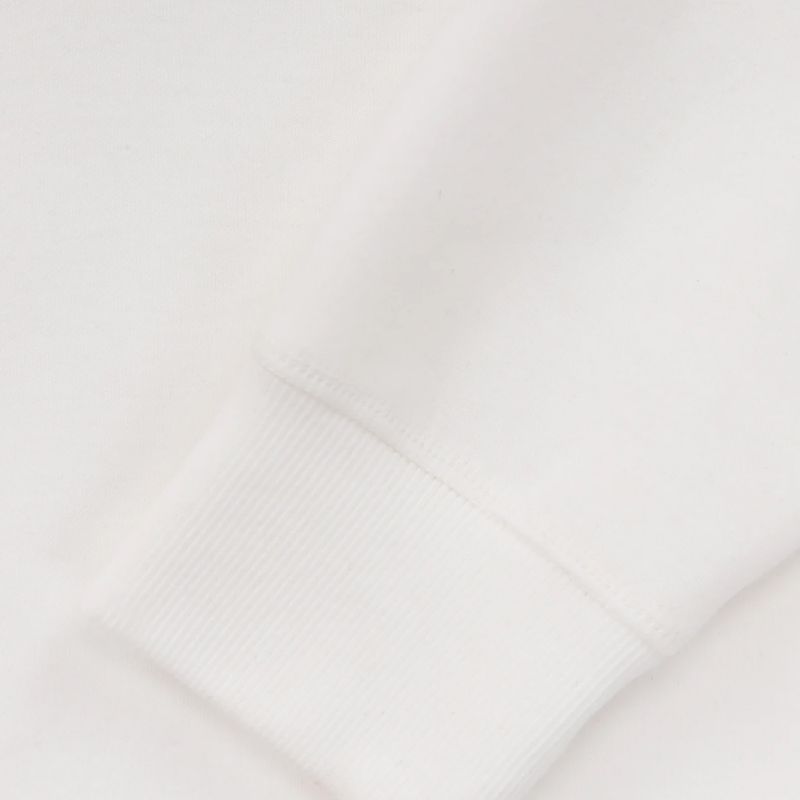 Кофта чоловіча Pitbull West Coast Hermes Hooded Zip off white 9