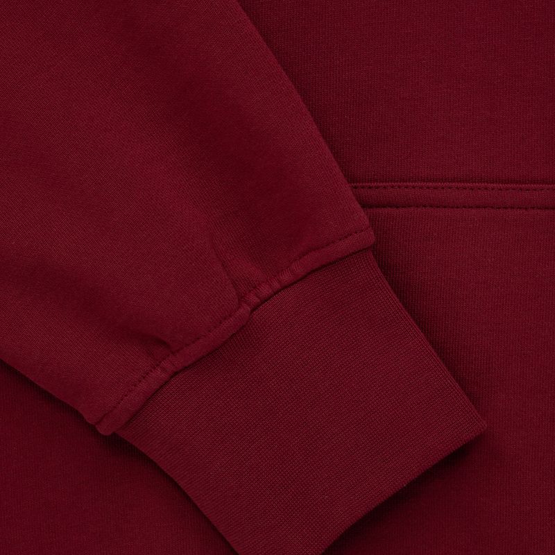 Кофта чоловіча Pitbull West Coast Everts Hooded burgundy 5