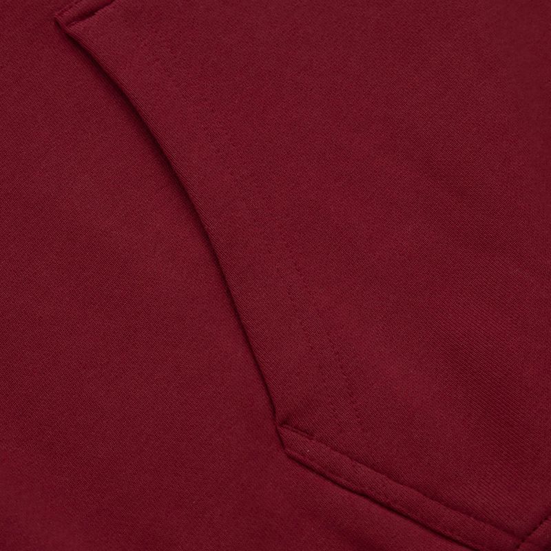 Кофта чоловіча Pitbull West Coast Everts Hooded burgundy 6