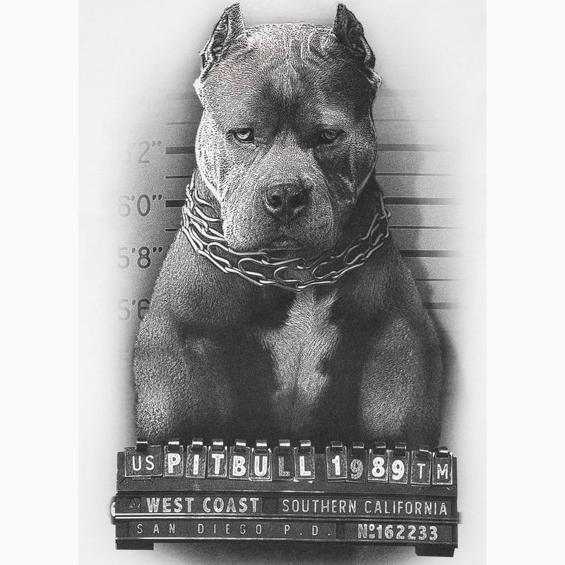 Чоловіча футболка Pitbull West Coast Mugshot 2 біла 8
