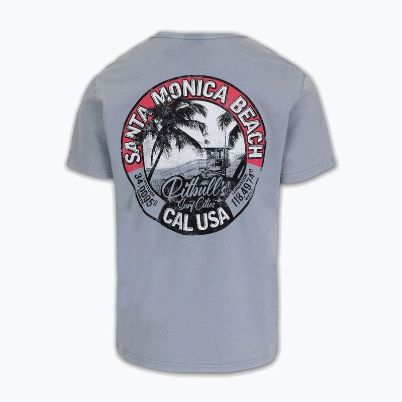 Футболка чоловіча Pitbull Oceanside blue 8