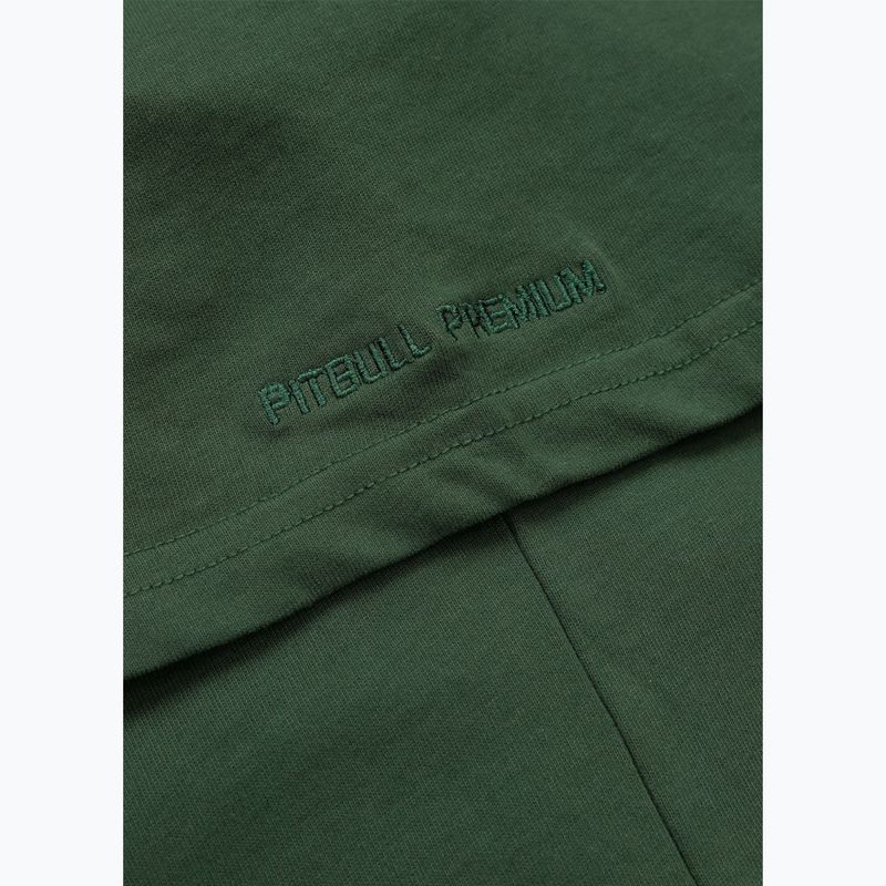 Футболка чоловіча Pitbull Scratch green 11