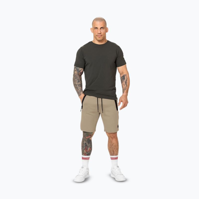 Шорти чоловічі Pitbull Dogwood Sport dark sand 2