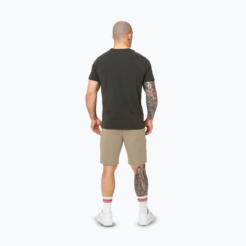 Шорти чоловічі Pitbull Dogwood Sport dark sand 3