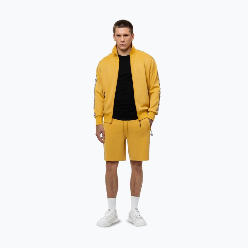 Кофта чоловіча Pitbull Track Jacket Powers pale yellow 2