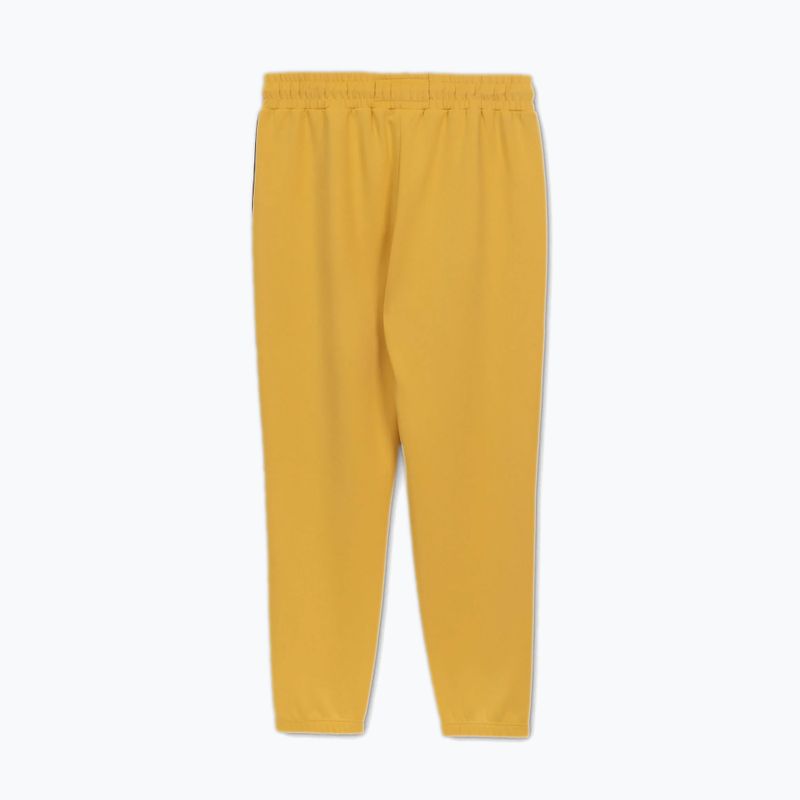 Штани чоловічі Pitbull Track Pants Powers pale yellow 6