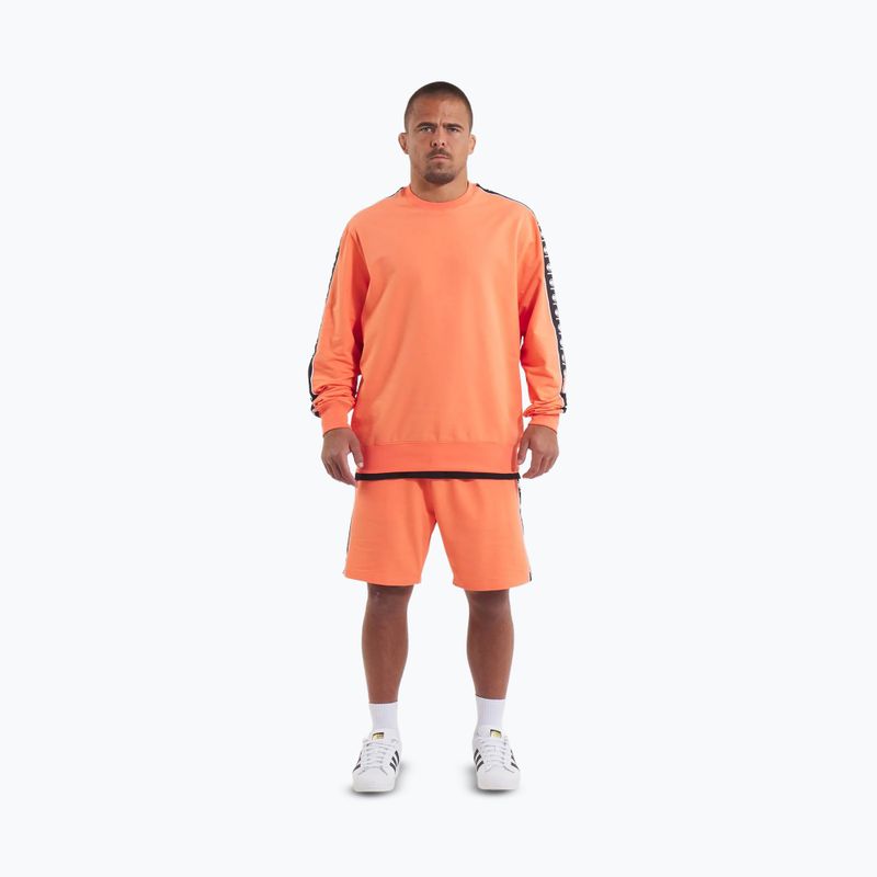 Кофта чоловіча Pitbull Tape Nugget Crewneck Sweatshirt bright salmon 2