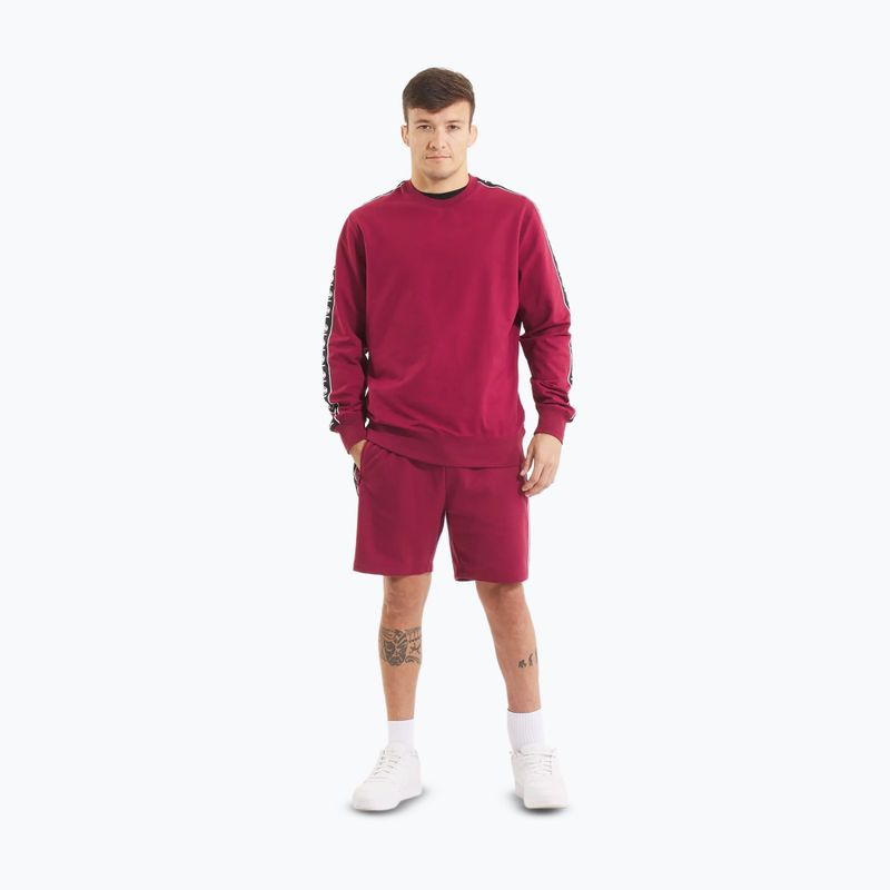 Кофта чоловіча Pitbull Tape Nugget Crewneck Sweatshirt burgundy 2