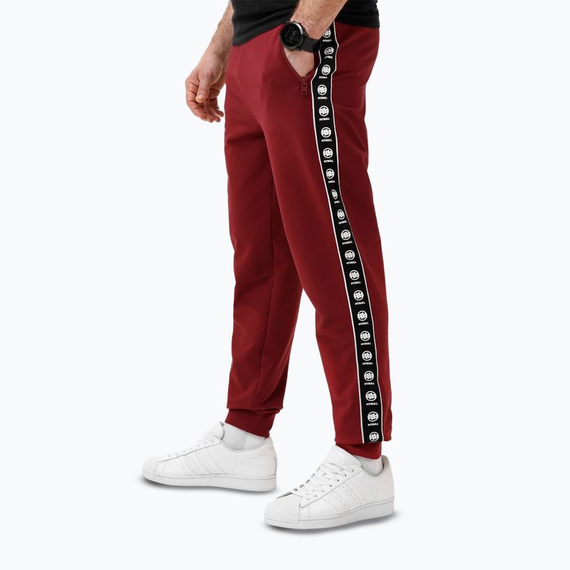 Штани чоловічі Pitbull Tape Nugget Jogging burgundy 3