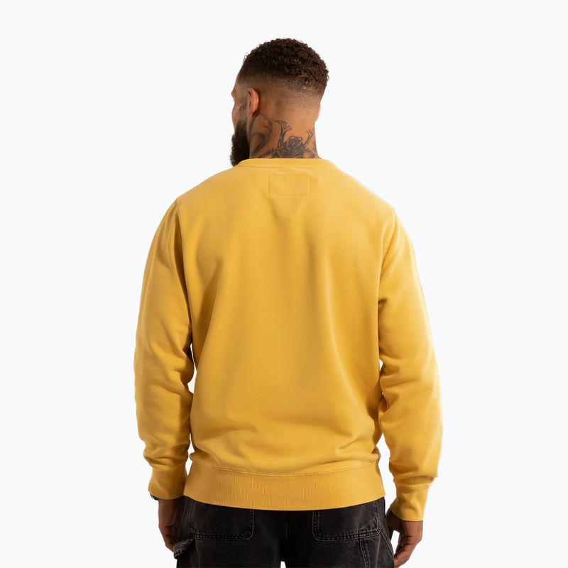 Кофта чоловіча Pitbull Lancaster 2 Crewneck Sweatshirt washed yellow 3