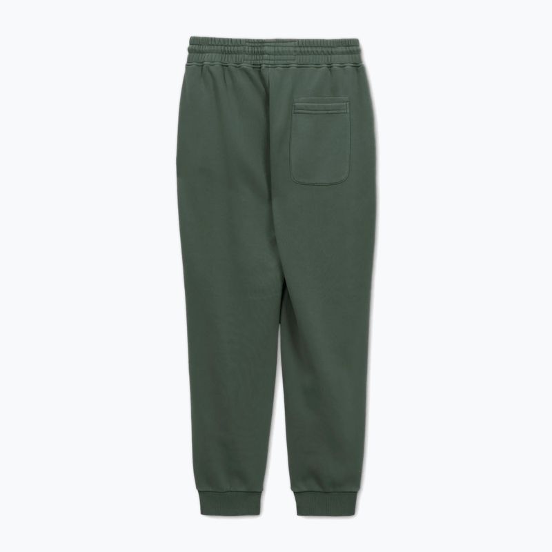 Штани чоловічі Pitbull Lancaster 2 Track Pants sage green 5
