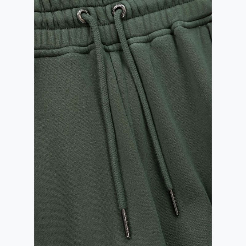 Штани чоловічі Pitbull Lancaster 2 Track Pants sage green 6