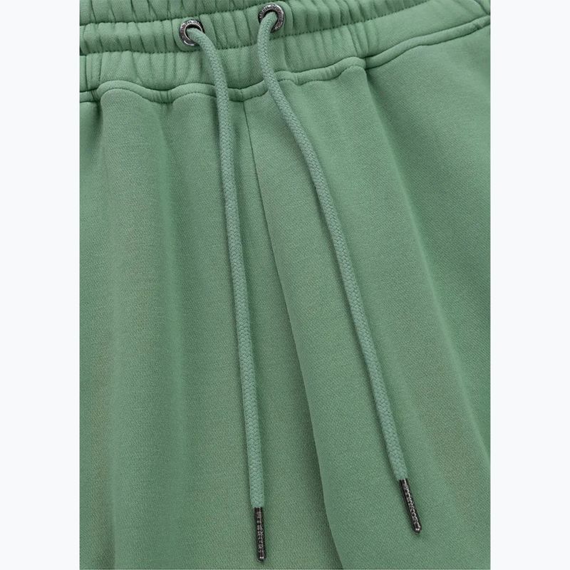Штани чоловічі Pitbull Lancaster 2 Track Pants washed green 5