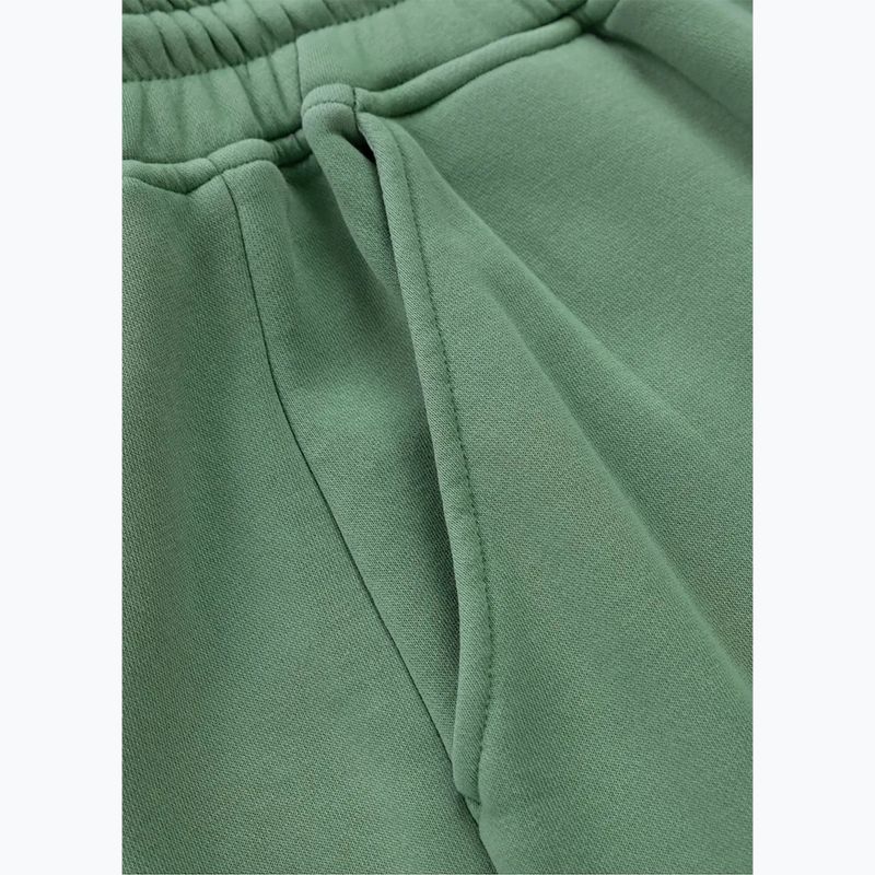 Штани чоловічі Pitbull Lancaster 2 Track Pants washed green 7