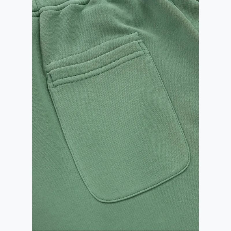 Штани чоловічі Pitbull Lancaster 2 Track Pants washed green 8