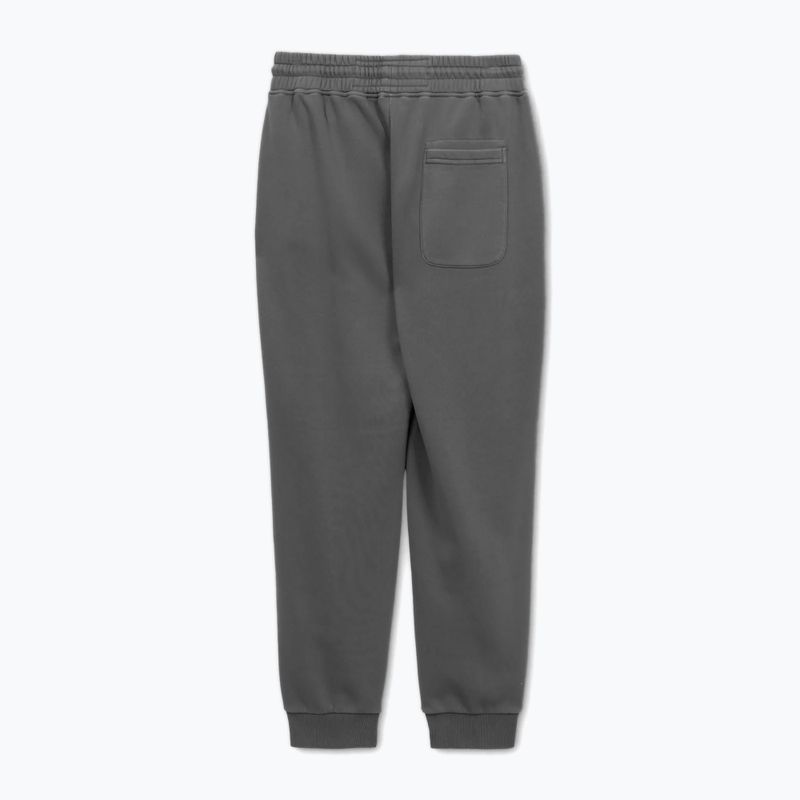 Штани чоловічі Pitbull Lancaster 2 Track Pants washed grey 5