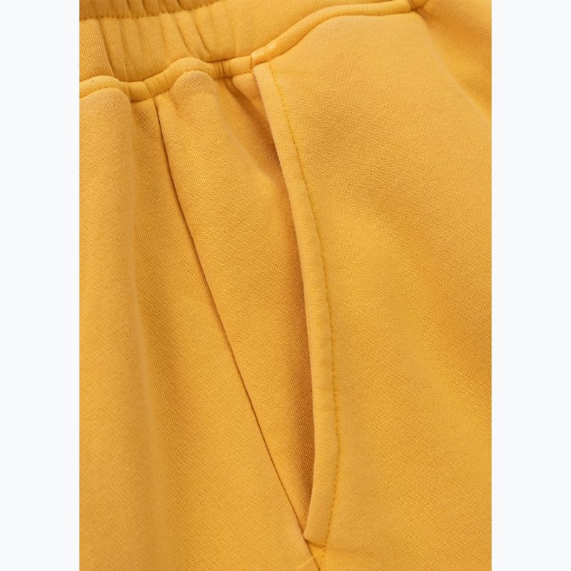 Штани чоловічі Pitbull Lancaster 2 Track Pants washed yellow 10