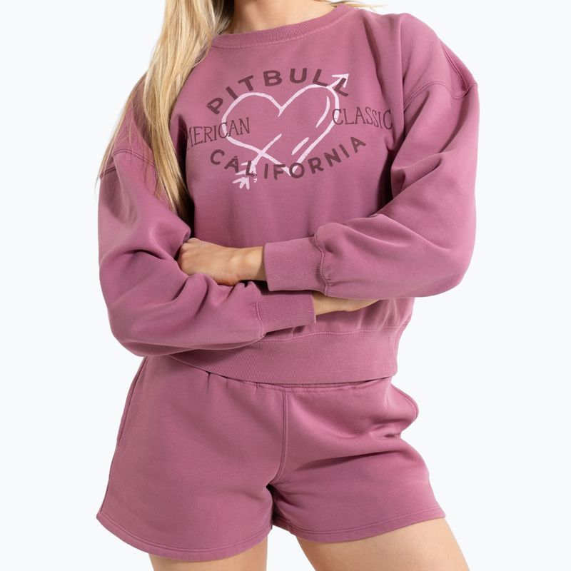 Кофта жіноча Pitbull Manzanita Heart Crewneck Sweatshirt pink 5