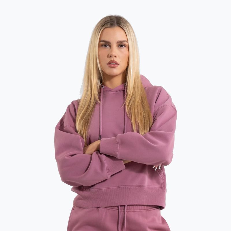 Кофта жіноча Pitbull Manzanita Hooded Sweatshirt pink