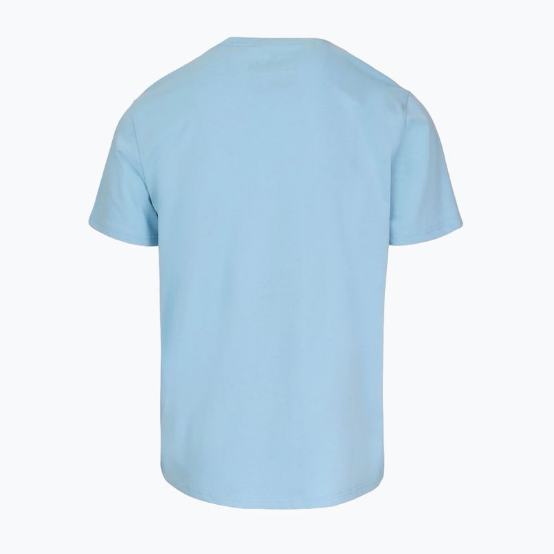 Футболка чоловіча Pitbull Palms light blue 5