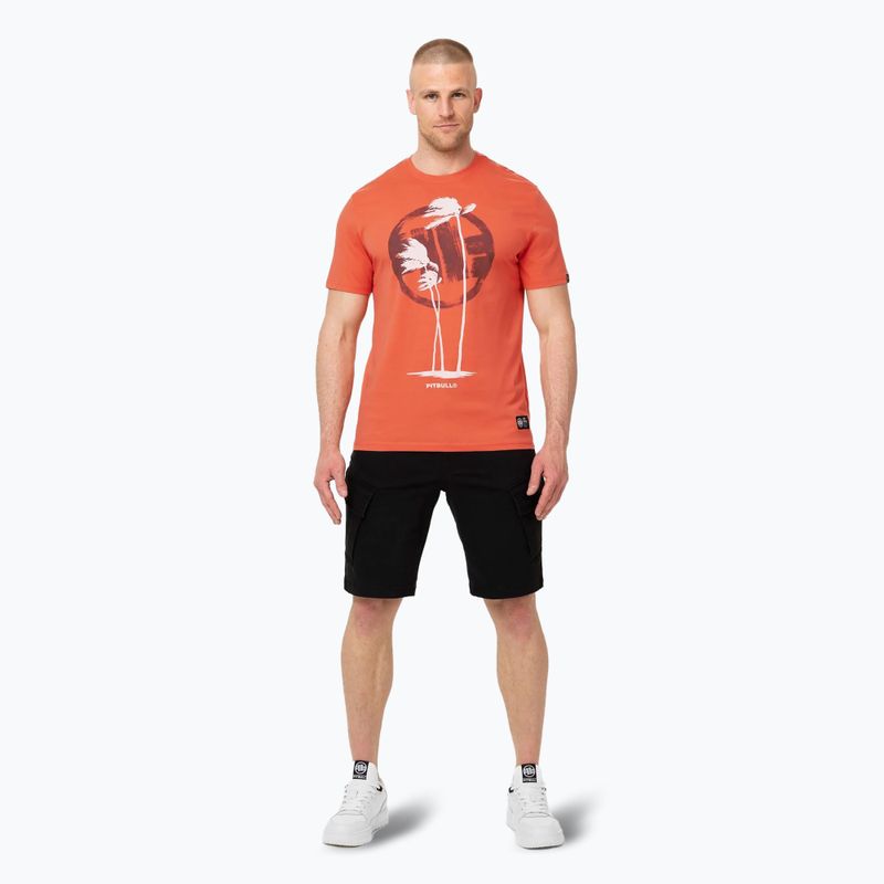 Футболка чоловіча Pitbull Palms bright salmon 2
