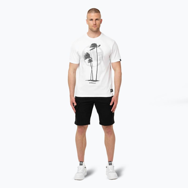 Футболка чоловіча Pitbull Palms white 2