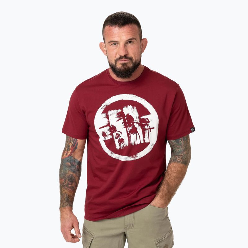 Футболка чоловіча Pitbull Logo Palms burgundy