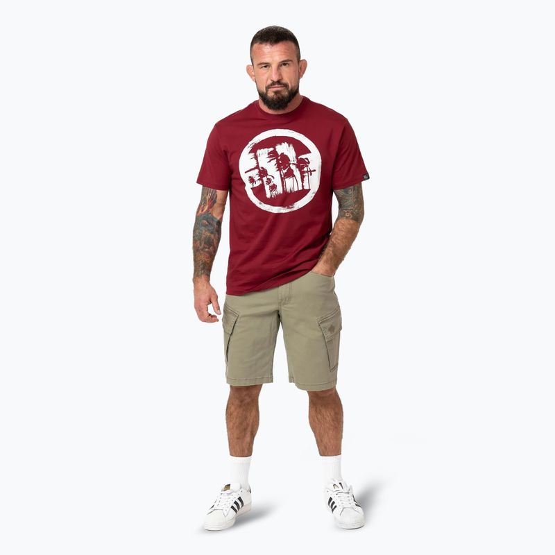 Футболка чоловіча Pitbull Logo Palms burgundy 2