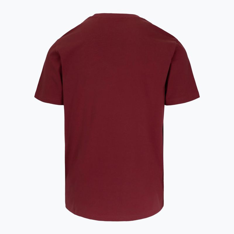 Футболка чоловіча Pitbull Logo Palms burgundy 5