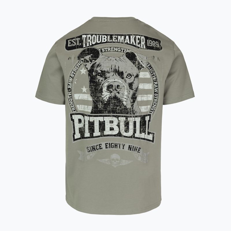 Футболка чоловіча Pitbull Troublemarker dusty salvia 2
