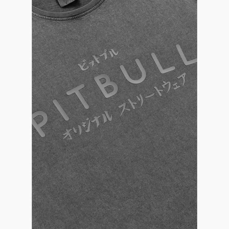Футболка чоловіча Pitbull Mt. Fuji washed grey 4