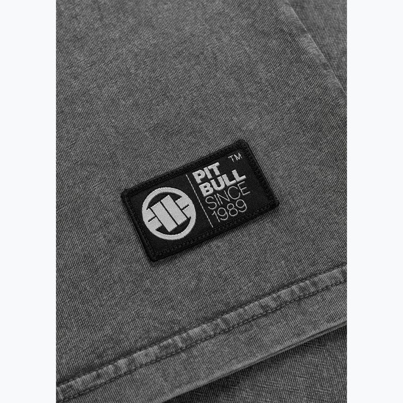 Футболка чоловіча Pitbull Mt. Fuji washed grey 8