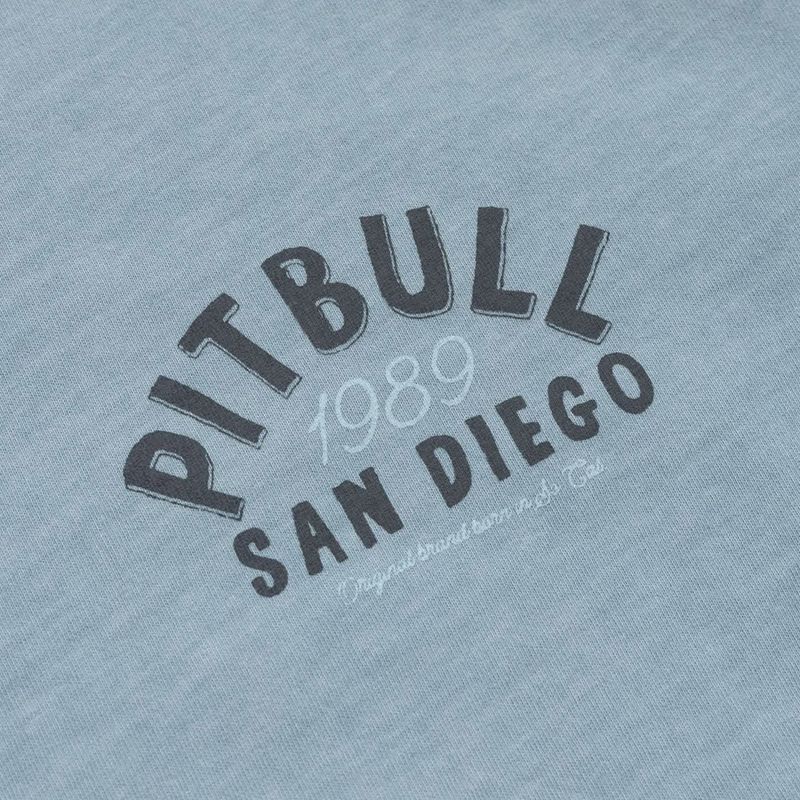 Футболка чоловіча Pitbull Pacyfic blue 4