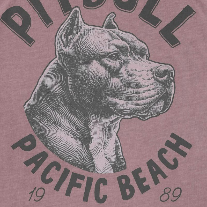 Футболка чоловіча Pitbull Pacyfic dusty burgundy 5