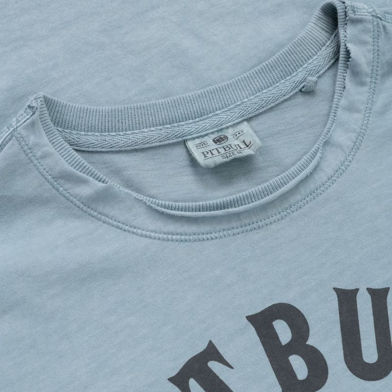 Футболка чоловіча Pitbull Shkull Logo blue 3