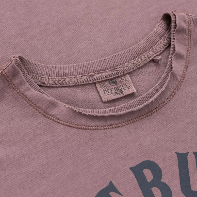 Футболка чоловіча Pitbull Shkull Logo dusty burgundy 2