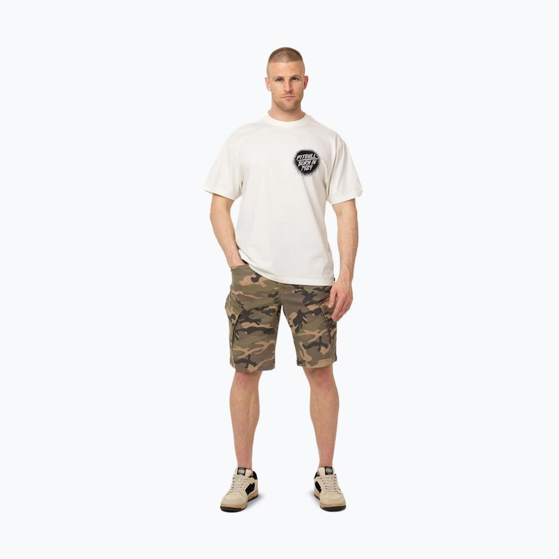 Футболка чоловіча Pitbull Graffiti off white 2