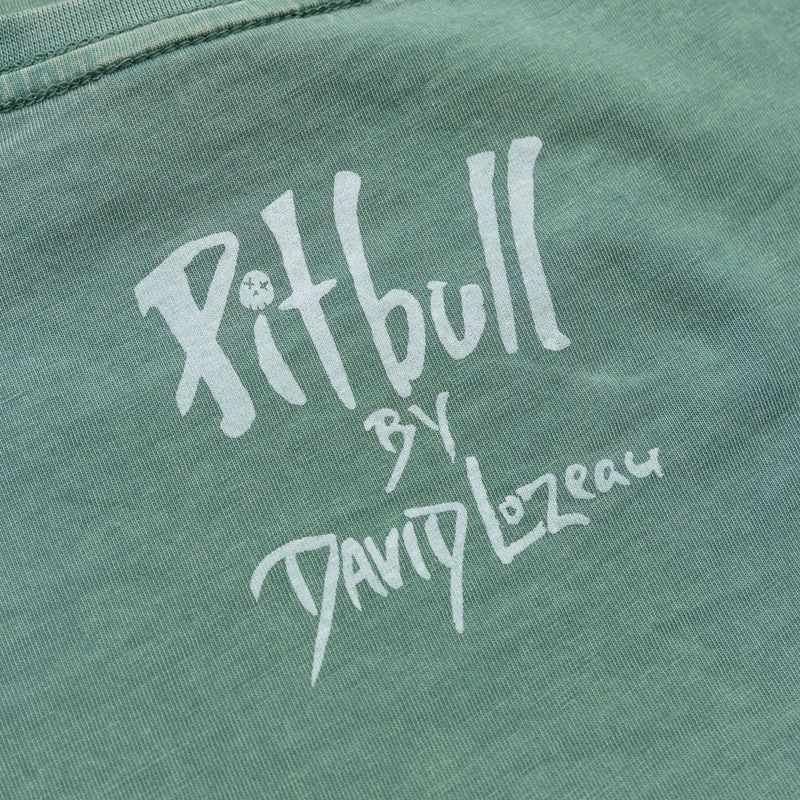 Футболка жіноча Pitbull Cruisinandboozin mint 7