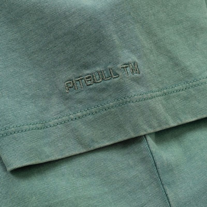 Футболка жіноча Pitbull Cruisinandboozin mint 8