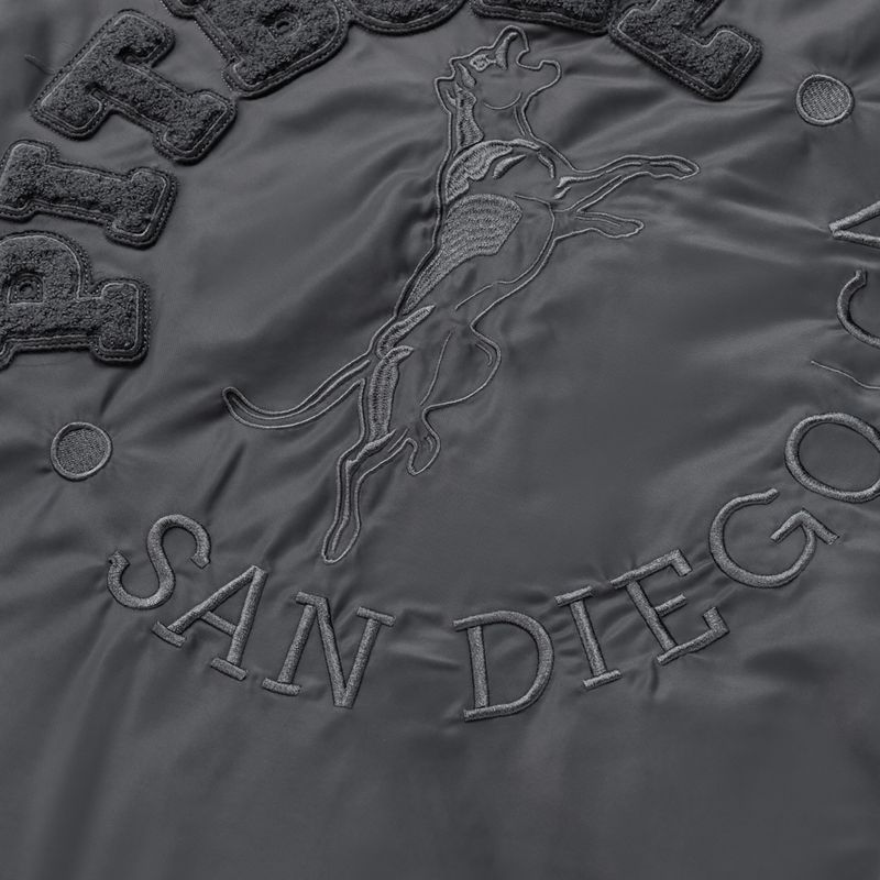 Чоловіча куртка Pitbull Hacket Washed Bomber graphite 5